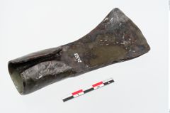 Foto von Eisendechsel (NHMW-PRAE-024328)